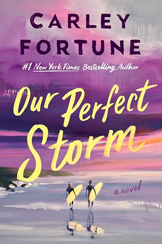 239703816.jpg خرید و دانلود نسخه کامل کتاب Our Perfect Storm - تصویر 1