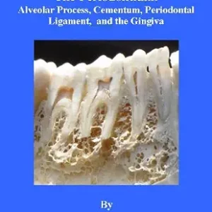 خرید و دانلود نسخه کامل کتاب The Periodontium: Alveolar Process, Cementum, Periodontal Ligament, and the Gingiva