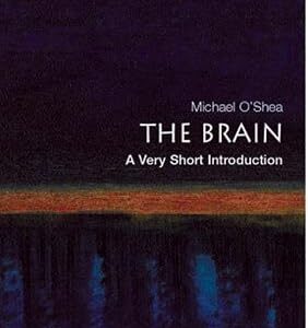 خرید و دانلود نسخه کامل کتاب The Brain: A Very Short Introduction (Very Short Introductions)