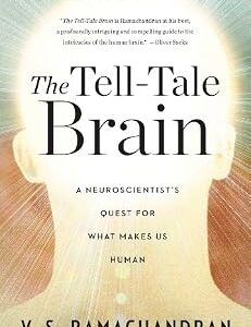 خرید و دانلود نسخه کامل کتاب The Tell-Tale Brain: A Neuroscientist’s Quest for What Makes Us Human