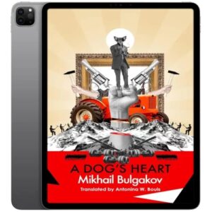 خرید و دانلود نسخه کامل کتاب انگلیسی A Dog’s Heart 2016