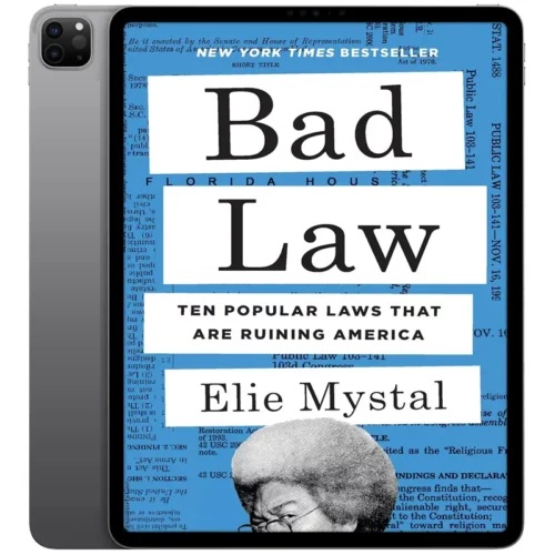 Bad-Law-500x500 خرید و دانلود نسخه کامل کتاب انگلیسی Bad Law 2025 - تصویر 1