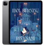 خرید و دانلود نسخه کامل کتاب انگلیسی Idol Burning 2022