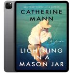 خرید و دانلود نسخه کامل کتاب انگلیسی Lightning in a Mason Jar 2025