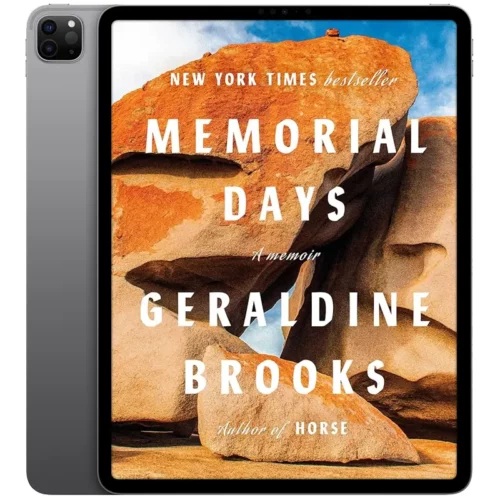 Memorial-Days-500x500 خرید و دانلود نسخه کامل کتاب انگلیسی Memorial Days 2025 - تصویر 1