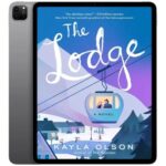 خرید و دانلود نسخه کامل کتاب انگلیسی The Lodge 2025