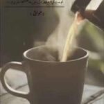 خرید و دانلود نسخه کامل رمان
 این شهر مرا با تو نمیخواست اثر ماهی فاطمی