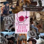 خرید و دانلود نسخه کامل رمان
 بی نقص جلد اول چستنات اسپرینگز | Elsie Silver