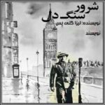 خرید و دانلود نسخه کامل رمان
 شرور سنگدل جلد اول راونل ها اثر لیزا کلیپاس