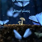 خرید و دانلود نسخه کامل رمان
 ضماد اثر پرستو اسحقی