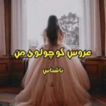 خرید و دانلود نسخه کامل رمان
 عروس کوچولوی من اثر ناشناس