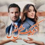 خرید و دانلود نسخه کامل رمان
 نزدیک مثل نفس اثر زینب علی پور