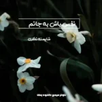خرید و دانلود نسخه کامل رمان
 نفس باش به جانم اثر شایسته نظری