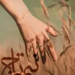 خرید و دانلود نسخه کامل رمان نیم تاج