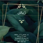 خرید و دانلود نسخه کامل رمان
 ژیکان اثر میم.ز