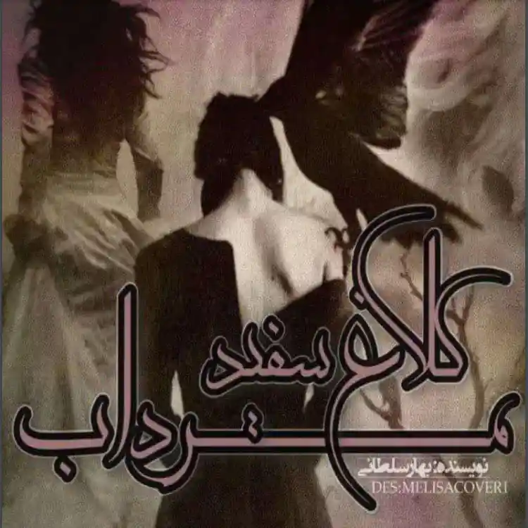 خرید و دانلود نسخه کامل رمان
کلاغ سفید در مرداب اثر بهار سلطانی_6a5d782fef072.webp خرید و دانلود نسخه کامل رمان
کلاغ سفید در مرداب اثر بهار سلطانی - تصویر 1