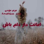 خرید و دانلود نسخه کامل رمان
دانلود pdf  امانت دار دلم باش