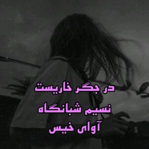 خرید و دانلود نسخه کامل رمان
دانلود pdf  در جگر خاریست