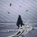 خرید و دانلود نسخه کامل رمان
دانلود pdf  فودوشین