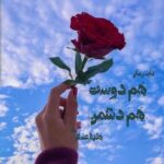 خرید و دانلود نسخه کامل رمان
دانلود pdf  هم دوست هم دشمن