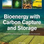 خرید و دانلود نسخه کامل کتاب 
Bioenergy with Carbon Capture and Storage: Using Natural Resources for Sustainable Development