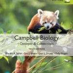خرید و دانلود نسخه کامل کتاب 
Campbell Biology: Concepts & Connections