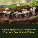 خرید و دانلود نسخه کامل کتاب 
Green Approach to Alternative Fuel for a Sustainable Future