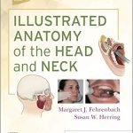 خرید و دانلود نسخه کامل کتاب Illustrated Anatomy of the Head and Neck E-Book 6th Edition