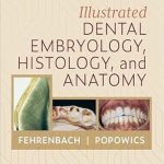 خرید و دانلود نسخه کامل کتاب Illustrated Dental Embryology, Histology, and Anatomy E-Book