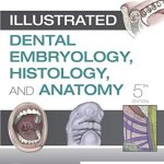 خرید و دانلود نسخه کامل کتاب Illustrated Dental Embryology, Histology, and Anatomy E-Book 5th Edition
