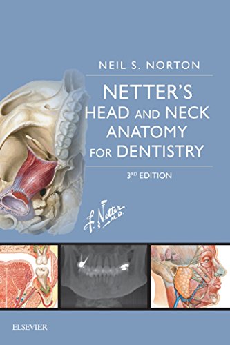 خرید و دانلود نسخه کامل کتاب Netter’s Head and Neck Anatomy for Dentistry E-Book (Netter Basic Science) 3rd Edition_6a62508ad52e4.jpeg خرید و دانلود نسخه کامل کتاب Netter's Head and Neck Anatomy for Dentistry E-Book (Netter Basic Science) 3rd Edition - تصویر 1