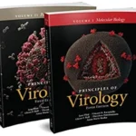 خرید و دانلود نسخه کامل کتاب 
Principles of Virology, Multi-Volume 5th Edition
