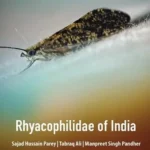 خرید و دانلود نسخه کامل کتاب 
Rhyacophilidae of India: Systematics and Ecology of the Indian Species of family Rhyacophilidae