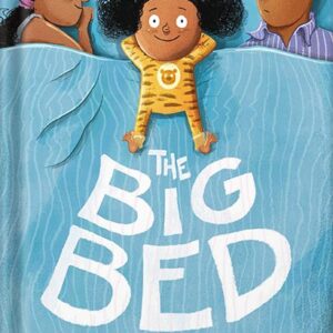 خرید و دانلود نسخه کامل کتاب The Big Bed by Bunmi Laditan PDF