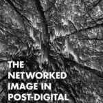 خرید و دانلود نسخه کامل کتاب 
The Networked Image in Post-Digital Culture