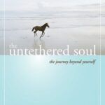 خرید و دانلود نسخه کامل کتاب The untethered soul the Journey Beyond Yourself by Michael Singer