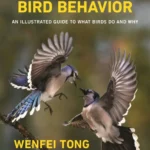 خرید و دانلود نسخه کامل کتاب 
Understanding Bird Behavior: An Illustrated Guide to What Birds Do and Why