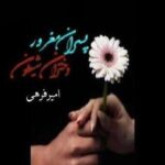 خرید و دانلود نسخه کامل رمان پسران مغرور دختران شیطون اثر امیر فرهی