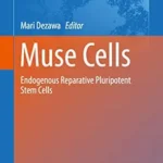 خرید و دانلود نسخه کامل کتاب Muse Cells: Endogenous Reparative Pluripotent Stem Cells (Advances in Experimental Medicine and Biology Book 1103)