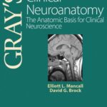 خرید و دانلود نسخه کامل کتاب Gray’s Clinical Neuroanatomy: The Anatomic Basis for Clinical Neuroscience (Gray’s Anatomy) 1st Edition