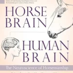 خرید و دانلود نسخه کامل کتاب Horse Brain, Human Brain: The Neuroscience of Horsemanship