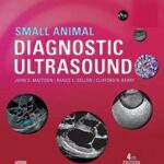 خرید و دانلود نسخه کامل کتاب Small Animal Diagnostic Ultrasound E-Book 4th Edition