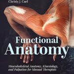 خرید و دانلود نسخه کامل کتاب Functional Anatomy: Musculoskeletal Anatomy, Kinesiology, and Palpation for Manual Therapists