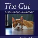 خرید و دانلود نسخه کامل کتاب THE CAT – Inkling E-Book: The Cat – E-Book