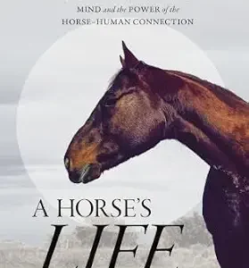 خرید و دانلود نسخه کامل کتاب A Horse’s Life: The Neuroscience of Equine Welfare