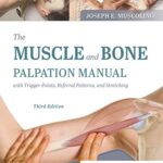 خرید و دانلود نسخه کامل کتاب The Muscle and Bone Palpation Manual with Trigger Points, Referral Patterns and Stretching – E-Book 3rd Edition