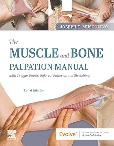خرید و دانلود نسخه کامل کتاب The Muscle and Bone Palpation Manual with Trigger Points, Referral Patterns and Stretching – E-Book 3rd Edition_6a6e092b587d2.jpeg خرید و دانلود نسخه کامل کتاب The Muscle and Bone Palpation Manual with Trigger Points, Referral Patterns and Stretching – E-Book 3rd Edition