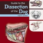 خرید و دانلود نسخه کامل کتاب Guide to the Dissection of the Dog – E-Book (.Net Developers)