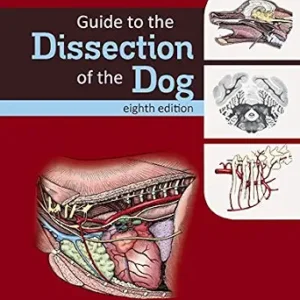 خرید و دانلود نسخه کامل کتاب Guide to the Dissection of the Dog – E-Book (.Net Developers)
