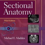 خرید و دانلود نسخه کامل کتاب Introduction to Sectional Anatomy (Point (Lippincott Williams & Wilkins))